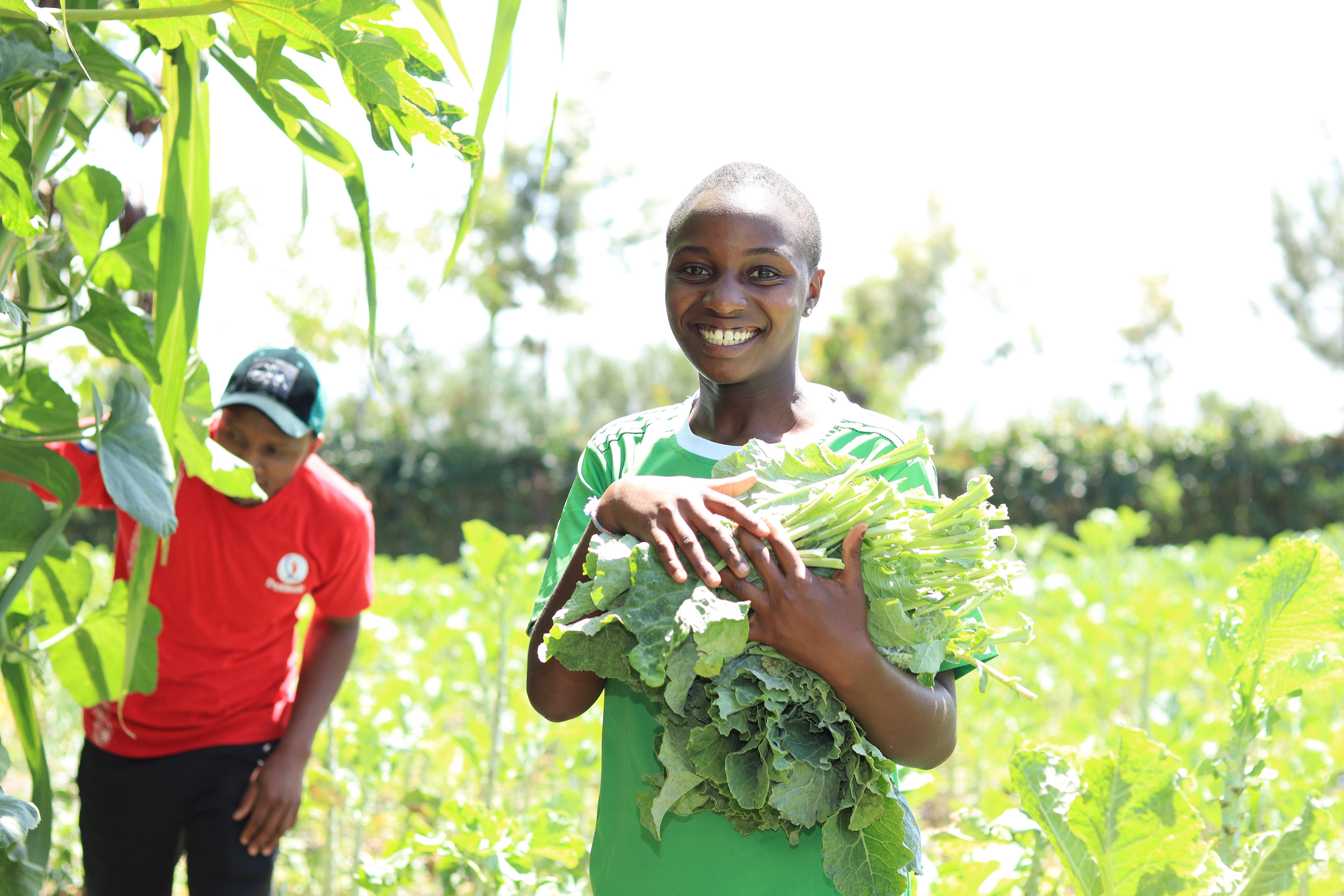Agriculture Group